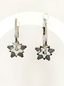 ARRACADAS CON ESTRELLAS